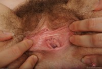 ATK hairy Eleanor Rose Set