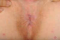 ATK hairy  in scary hairy