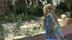 ATK Aunt Judys  in Virtual vacation