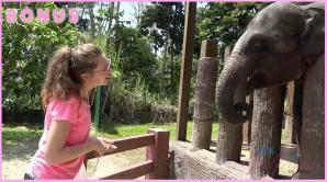 ATK Aunt Judys  in Virtual vacation