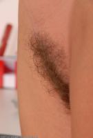 ATK hairy Elizabeth Set