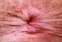 ATK hairy Elizabeth Set