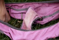 ATK hairy  in exotic and hairy