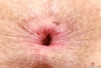 ATK hairy Ella Nova Set