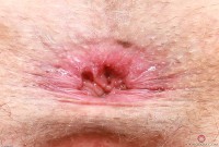 ATK hairy Ella Nova Set