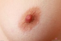 ATK hairy Ella Nova Set