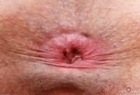 ATK hairy Ella Nova Set