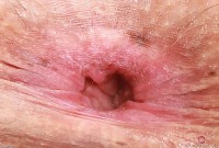 ATK hairy Ella Nova in young and hairy