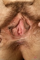ATK hairy Ellie Set