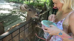 ATK Aunt Judys  in Virtual vacation