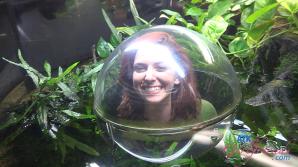 ATK Aunt Judys  in Virtual vacation