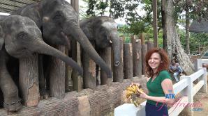 ATK Aunt Judys  in Virtual vacation