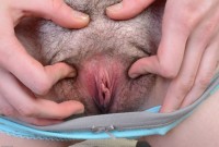 ATK hairy Emma Evins Set