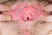 ATK hairy Emma Evins Set