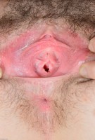 ATK hairy Emma Evins Set