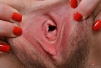 ATK hairy Emma Evins Set