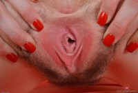 ATK hairy Emma Evins Set