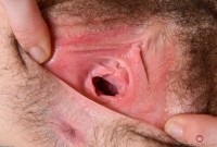 ATK hairy Emma Evins Set