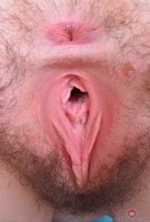 ATK hairy Emma Evins Set