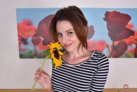 ATK hairy Emma Evins Set