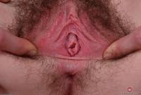 ATK hairy Emma Evins Set