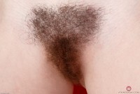 ATK hairy Emma Evins Set