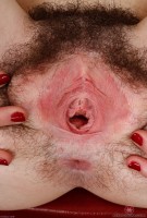 ATK hairy Emma Evins Set