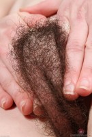 ATK hairy Emma Evins Set