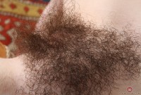 ATK hairy Emma Evins Set