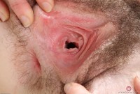 ATK hairy Emma Evins Set