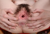 ATK hairy Emma Evins Set