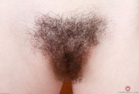 ATK hairy Emma Evins Set