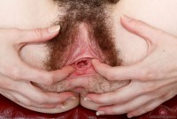 ATK hairy Emma Evins Set