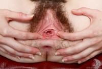 ATK hairy Emma Evins Set