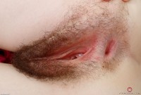 ATK hairy Emma Evins Set