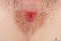 ATK hairy Emma Evins Set