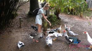 ATK Aunt Judys  in Virtual vacation