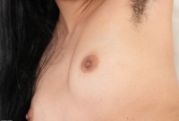 ATK hairy  in exotic and hairy