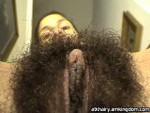 ATK Aunt Judys Eunique in exotic and hairy
