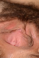 ATK hairy Eve Winters Set