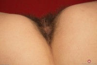 ATK hairy Evelina Darling Set