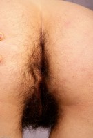 ATK hairy Faye Set
