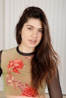 ATK hairy Felix Weatherwood Set