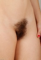 ATK hairy Felix Weatherwood Set