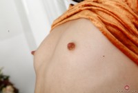 ATK hairy Felix Weatherwood Set