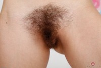 ATK hairy Felix Weatherwood Set