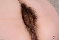 ATK hairy Felix Weatherwood Set