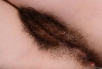 ATK hairy Felix Weatherwood Set