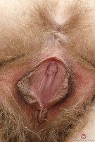 ATK hairy Felicia Fisher Set