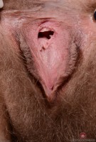 ATK hairy Felicia Fisher Set